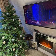 Глэмпинг Relax Villas A-Frame, Московская область