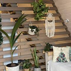 Глэмпинг Relax Villas A-Frame, Московская область