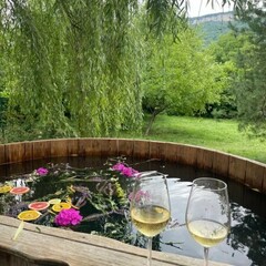 Гостевой дом Эколодж, Республика Адыгея