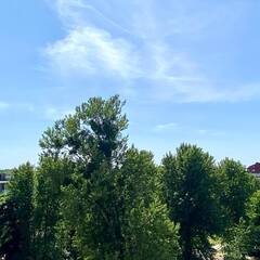 Апартаменты Apart Mari ул. Куйбышева, д. 27Б, Калининград, Калининградская область