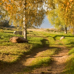 База отдыха Lake Park, Новгородская область