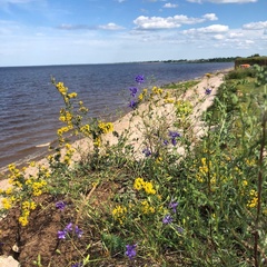 Глэмпинг Ильмера, Старорусский район, Новгородская область