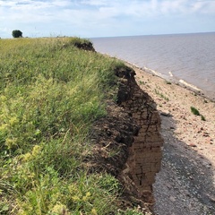 Глэмпинг Ильмера, Старорусский район, Новгородская область