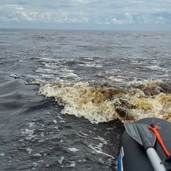 Глэмпинг Ильмера, Старорусский район, Новгородская область