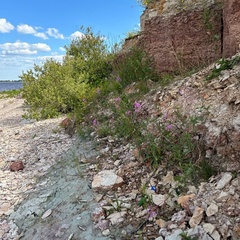 Глэмпинг Ильмера, Старорусский район, Новгородская область