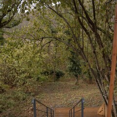 Глэмпинг Лимон&Мята, Краснодарский край