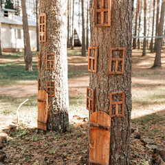 Загородный комплекс Северная звезда, Великоустюгский район, Вологодская область