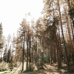 Загородный комплекс Северная звезда, Великоустюгский район, Вологодская область