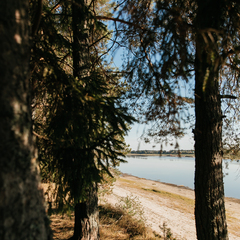 Загородный комплекс Северная звезда, Великоустюгский район, Вологодская область