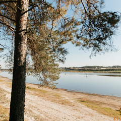 Загородный комплекс Северная звезда, Великоустюгский район, Вологодская область