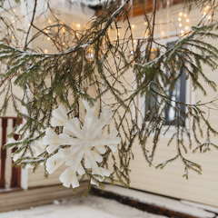 Загородный комплекс Северная звезда, Великоустюгский район, Вологодская область