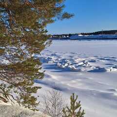 Загородный комплекс Северная звезда, Великоустюгский район, Вологодская область
