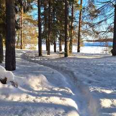 Загородный комплекс Северная звезда, Великоустюгский район, Вологодская область
