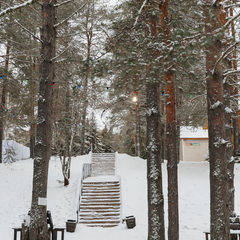Загородный комплекс Северная звезда, Великоустюгский район, Вологодская область