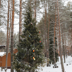 Загородный комплекс Северная звезда, Великоустюгский район, Вологодская область