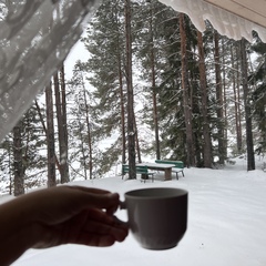 Загородный комплекс Северная звезда, Великоустюгский район, Вологодская область
