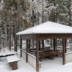 Загородный комплекс Северная звезда, Великоустюгский район, Вологодская область