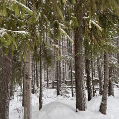 Загородный комплекс Северная звезда, Великоустюгский район, Вологодская область