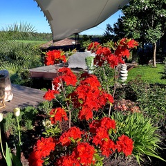 Отель La Collina, Московская область