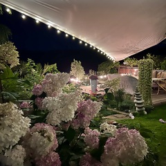 Отель La Collina, Московская область