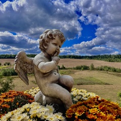 Отель La Collina, Московская область