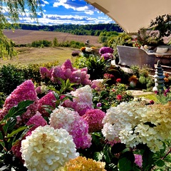 Отель La Collina, Московская область