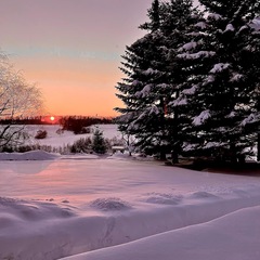 Отель La Collina, Московская область