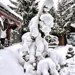 Отель La Collina, Московская область