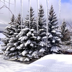 Отель La Collina, Московская область