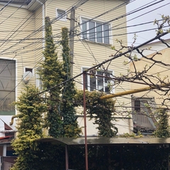 Гостевой дом Кармен, Краснодарский край