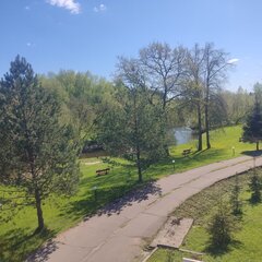 Эко-отель Белая мельница, Московская область