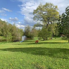 Эко-отель Белая мельница, Московская область