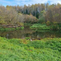 Эко-отель Белая мельница, Московская область