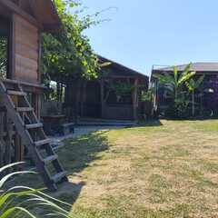 Гостевой дом Ковчег, Гагрский район