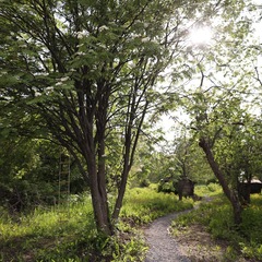 Домик Хрум, Татарстан