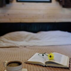 Гостевой дом Feshin Forest, Республика Адыгея