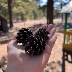 База отдыха Минино Resort, Красноярский край