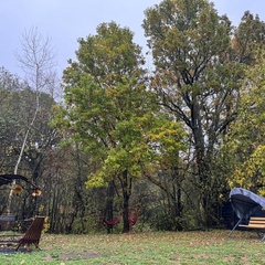 Глэмпинг Resort Novinki Barn, Владимирская область