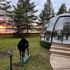 Парк-отель Хвоя Бестужево, Московская область