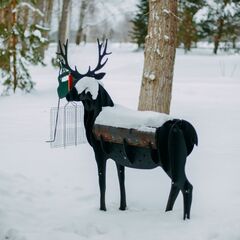 Парк-отель Хвоя Бестужево, Московская область