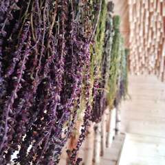 Парк-отель Хвоя Бестужево, Московская область