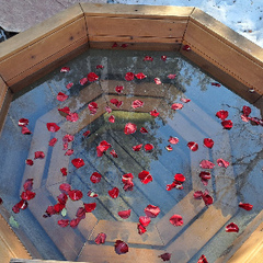 Глэмпинг Золотая Юрта, Иркутская область