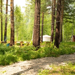 Глэмпинг Золотая Юрта, Иркутская область