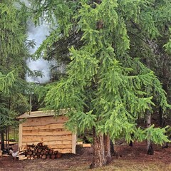 Глэмпинг Выше гор Курай , Республика Алтай