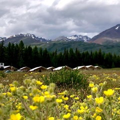 Глэмпинг Выше гор Курай , Республика Алтай
