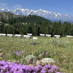 Глэмпинг Выше гор Курай , Республика Алтай