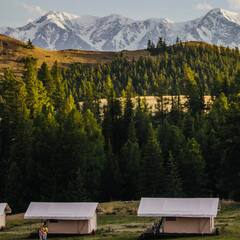 Глэмпинг Выше гор Курай , Республика Алтай