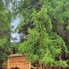 Глэмпинг Выше гор Курай , Республика Алтай