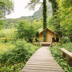Глэмпинг и СПА Лес, Сочи, Краснодарский край