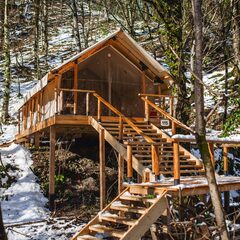 Глэмпинг и СПА Лес, Сочи, Краснодарский край